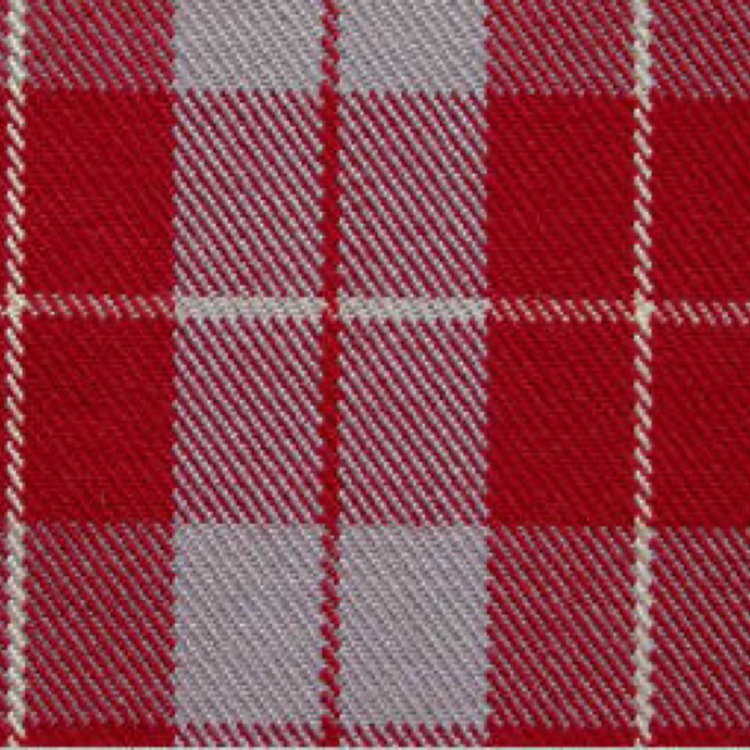 Mercedes Gullwing Red Scottish Tartan