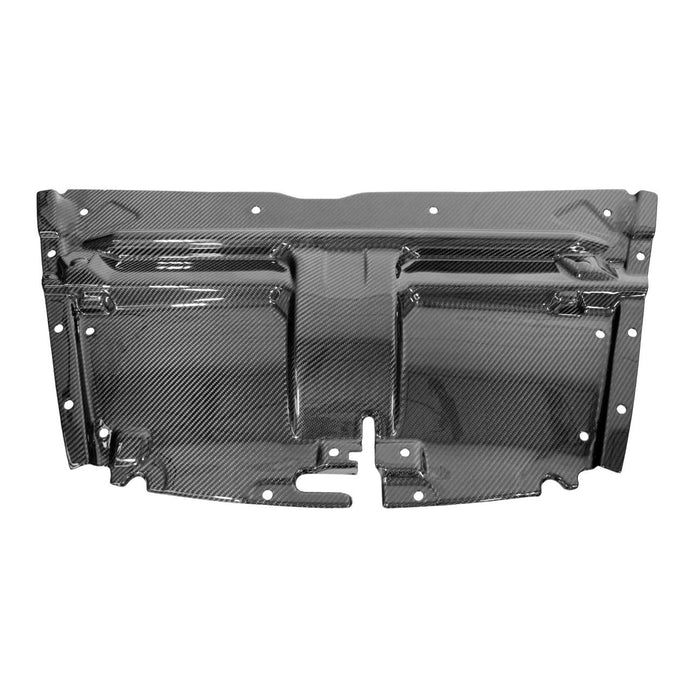 Carbon Fiber Slam Panel - Aston Martin