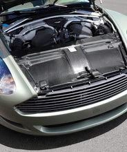 Load image into Gallery viewer, Carbon Fiber Slam Panel - Aston Martin
